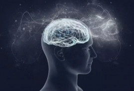 Թուրքիայի ո՞ր նահանգների բնակչությունն ունի բարձր IQ