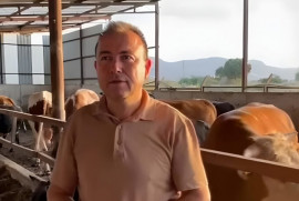 Արտակարգ դեպք Թուրքիայում. Ցլի հարձակման հետևանքով մարդ է մահացել