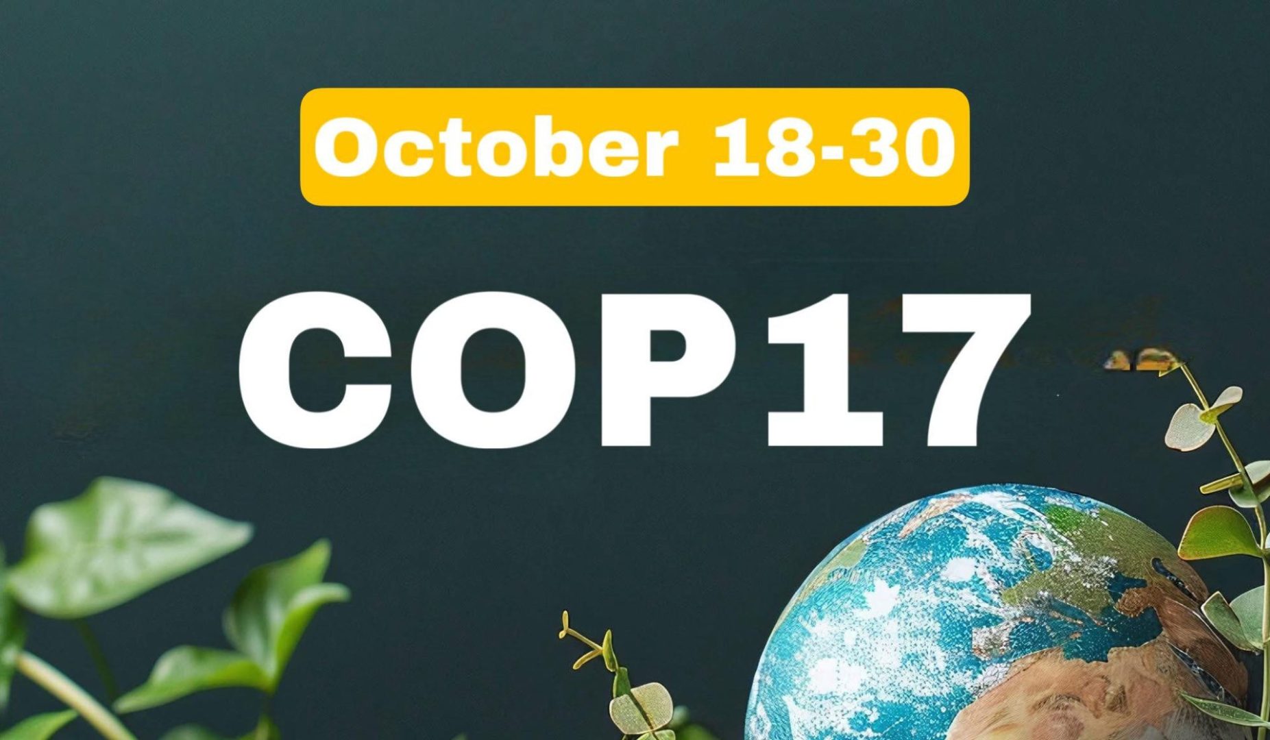 COP17 Ermenistan'ın başkenti Yerevan'da düzenlenecek