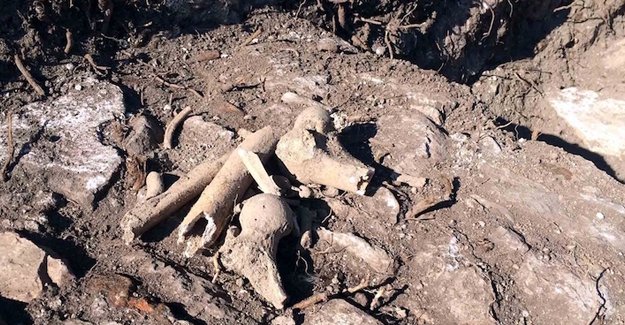Թուրքիայում մշակույթի տան վերածվող հերթական եկեղեցու բակում մարդկային ոսկորներ են հայտնաբերել