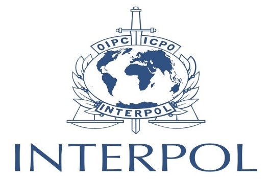 İnterpol ve Europol aşırı radikal sitelerinin engellenmesine yardım edecek