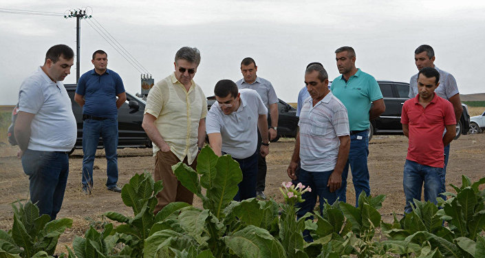 Başbakan Karapetyan’dan Karabağ’da 200 hektarlık nar bahçesi kurma sözü