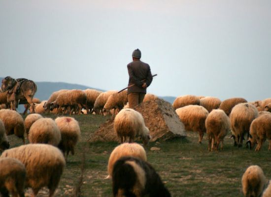 Ermenistan-Türkiye sınırını ihlal eden Türkiye vatandaşı yakalndı