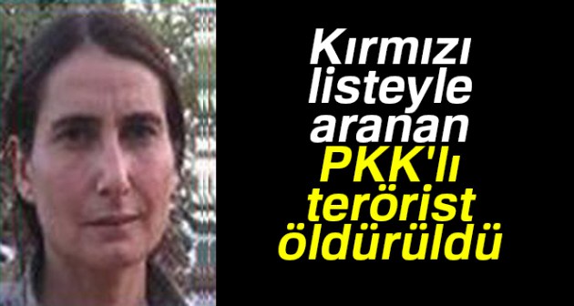 Թուրքիայում սպանվել է PKK ազդեցիկ անդամներից մեկը