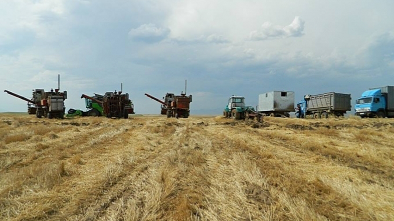 Karabağ'da toplam tarımsal üretim yızde 7.8 arttı