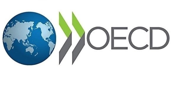 OECD-ն 2018թ․ Թուրքիայի համար 12 տոկոս գնաճ է կանխատեսել