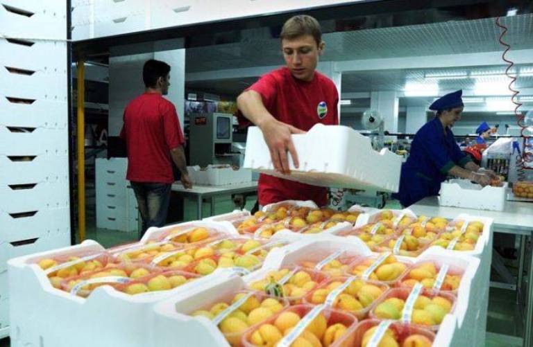 Ermenistan'dan yapılan meyve sebze ihracatı yüzde 67.7 arttı