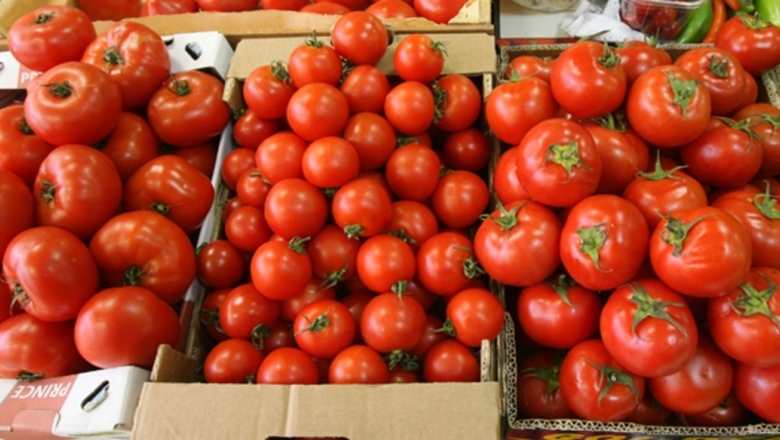 Ermenistan’da üretilen domates ilk defa BAE’ye ihraç edildi