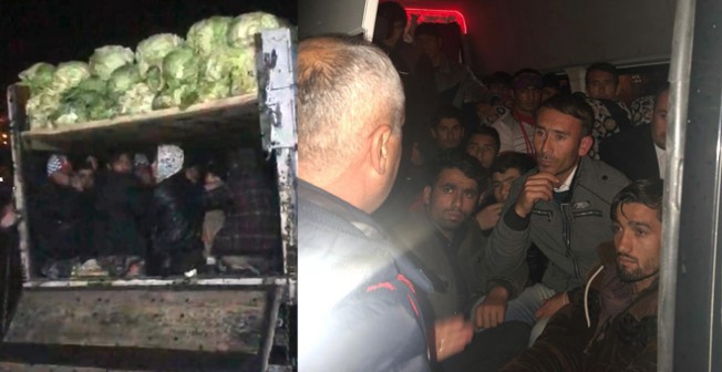 Թուրքիայում կաղամբով բեռնված մեքենայում ապօրինի ներգաղթյայլների խումբ է բացահայտվել