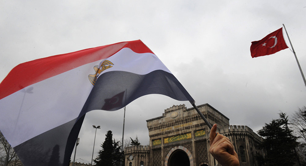 Եգիպտոսը Թուրքիայի նախագահին մեղադրել է «Մուսուլման եղբայրներին» աջակցելու մեջ