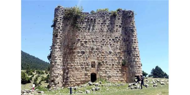 Tarihi Ermeni Sinap kalesine restorasyon talebi