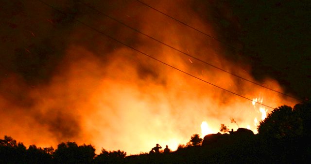 Лесной пожар охватил турецкий остров Мармара  (фото)