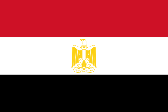 Египет созывает совет ЛАГ в связи с вторжением Турции в Сирию