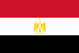 Египет созывает совет ЛАГ в связи с вторжением Турции в Сирию
