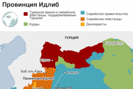 Турция заявила о проведении в Идлибе операции «Весенний щит»