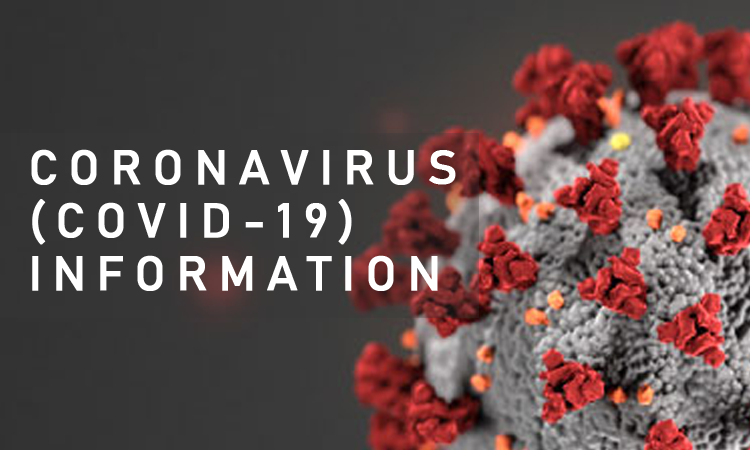 Ermenistan'da koronavirüs vaka sayısı 736'ya ulaştı