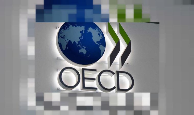 OECD․ Համավարակի 2-րդ ալիքի դեպքում Թուրքիան 8․1% տնտեսական անկում կգրանցի