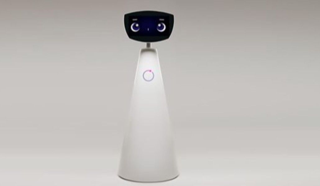 Ermeni "Robin" robotu, Forbes'un dikkat merkezinde