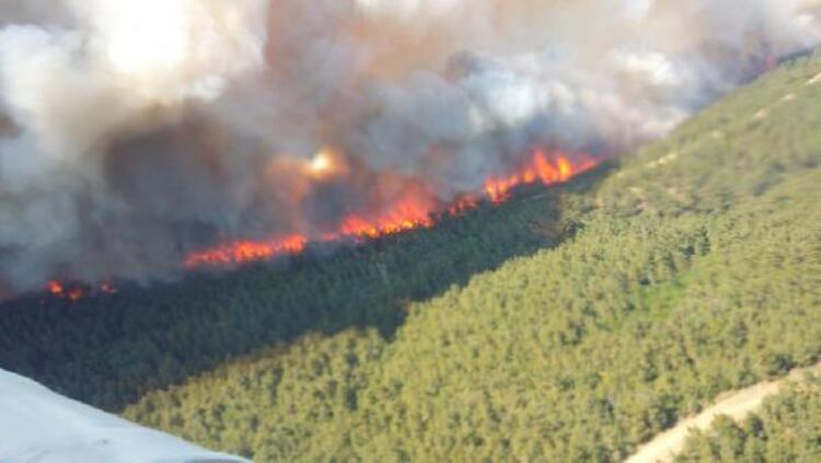 Турция перекрыла пролив Дарданеллы из-за лесных пожаров