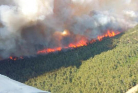 Турция перекрыла пролив Дарданеллы из-за лесных пожаров
