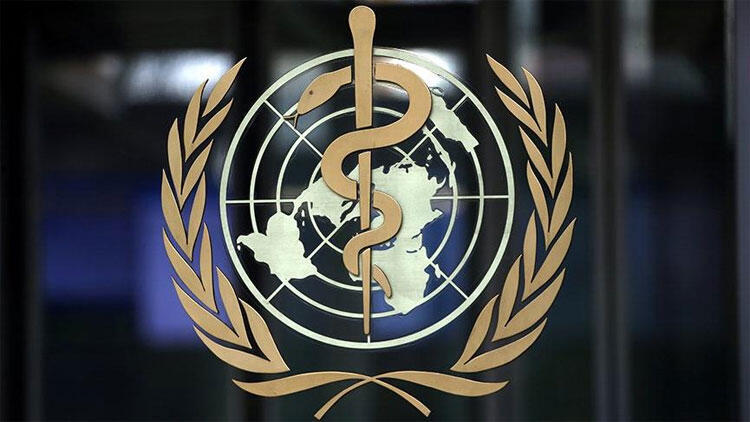 Dünya Sağlık Örgütü: Salgın hızlanıyor, zirveye henüz ulaşmadık