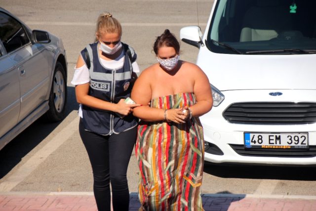 Սոցցանցում Թուրքիայի ՆԳ նախարարին վիրավորելու մեղադրանքով մի կին է բերման ենթարկվել