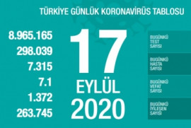 Թուրքիայում 1 օրում կորոնավիրուսից մահացել է 66 մարդ