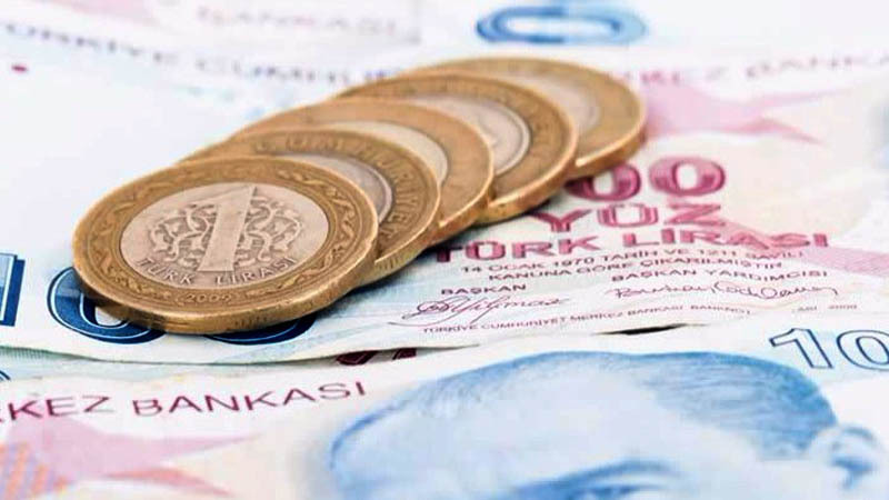 Capital Economics: Турецкая лира упадет до 8 за доллар, возможны более резкие падения