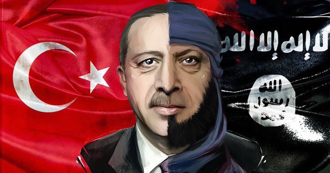 Турция начала расследование в отношении нидерландского политика из-за поста в Twitter