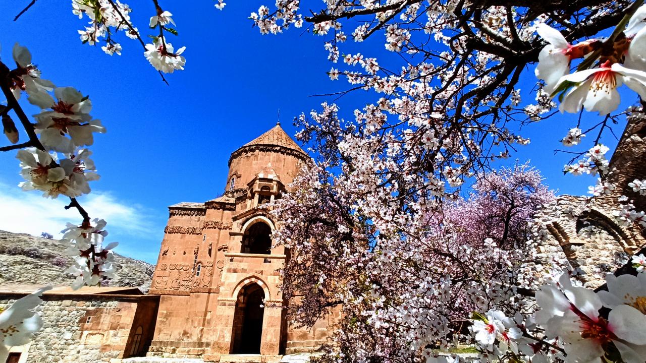 Akhtamar Adası badem çiçekleriyle renklendi (Foto)