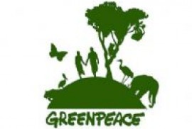 Greenpeace-ը կոչ է անում Էրդողանին հանդիպումից առաջ դադարեցնել ուժի կիրառումը