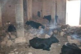Germuş köyündeki tarihi Ermeni kilisesi ahır olarak kullanılıyor