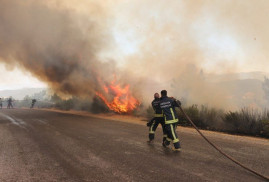 Пожарные в Турции взяли под контроль 125 возгораний