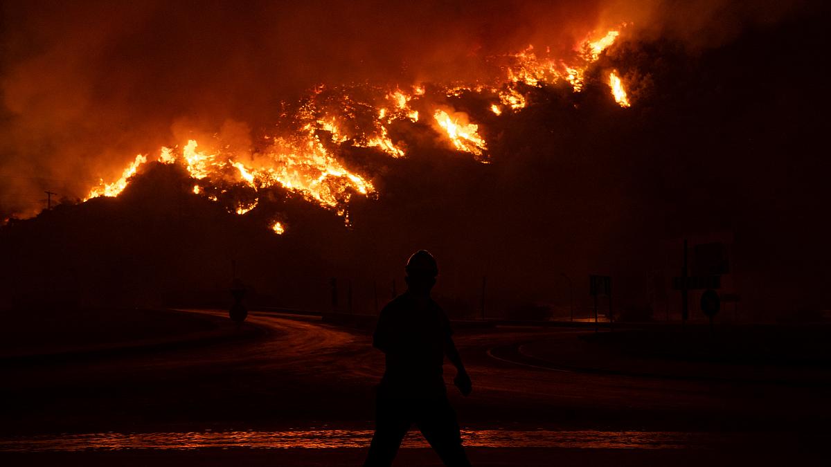Из-за лесных пожаров на юге Турции загорелась электростанция (Видео)