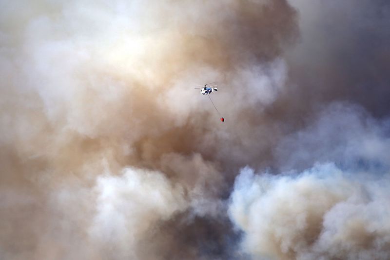 В Турции потушили все угрожавшие населенным пунктам лесные пожары