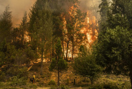 Kaliforniya yangınında yaklaşık 200 bin hektar orman yok oldu
