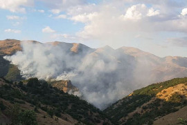 Թուրքիայում նորից անտառային հրդեհ է սկսվել