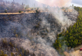 В Турции задержали 7 российских туристов по подозрению в поджоге леса