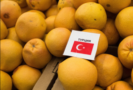 Россия приостановит ввоз мандаринов одного турецкого производителя