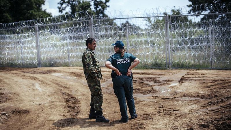 Минобороны Болгарии перебросило 350 военнослужащих и 40 единиц техники к турецкой границе