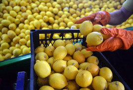 Роспотребнадзор приостановил импорт лимонов одного из турецких предприятий