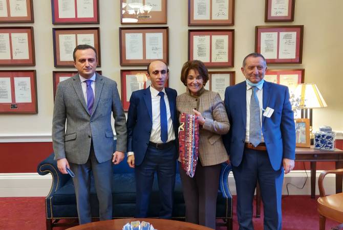 Artsakh Devlet Bakanı, ABD Kongre üyeleriyle Artsakh’ı görüştü