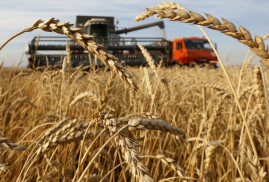 Rusya'dan tahıl ihracatı yasağı Ermenistan için geçerli değil