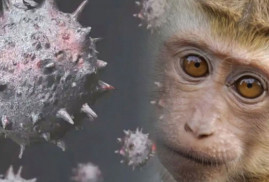 DSÖ, maymun çiçeği virüsünün ismini değiştiriyor