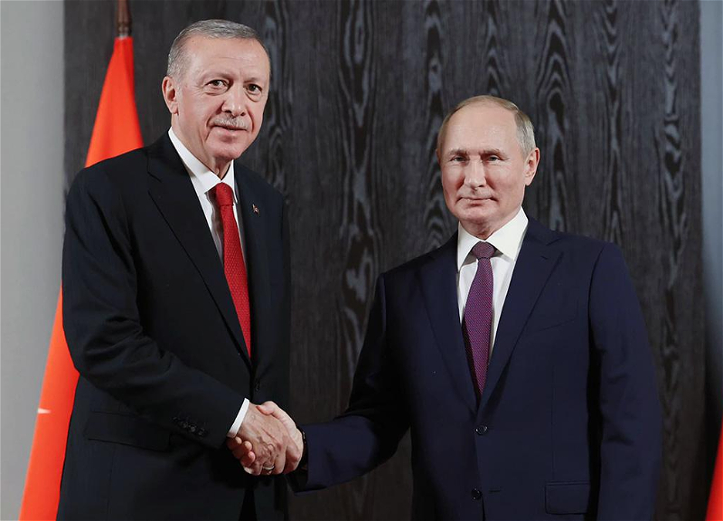 Путин и Эрдоган могут встретиться в Астане