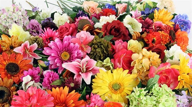 Gürcistan’a en çok Ermenistan çiçek ihraç etti