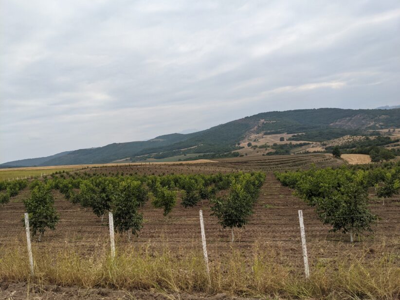 Azerbaycan, Artsakh köylülerine ateş açtı