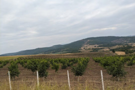 Azerbaycan, Artsakh köylülerine ateş açtı