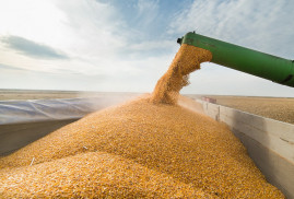 Россия экспортировала рекордные 59,3 миллиона тонн зерна по итогам сельхозсезона