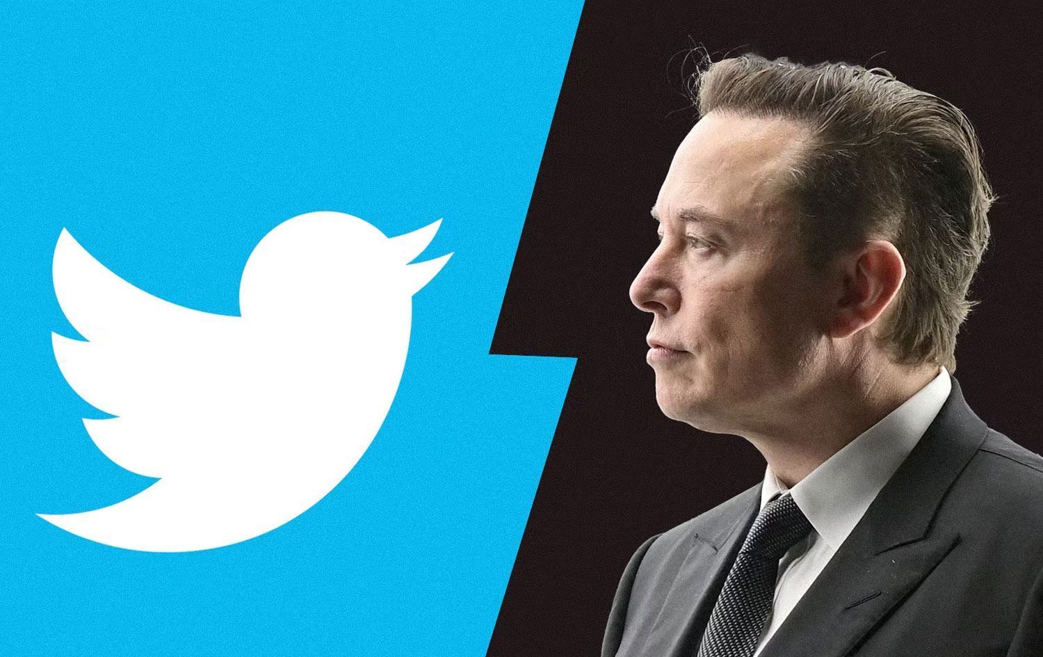 Elon Musk: Twitter'ın ismi ve logosu değişiyor